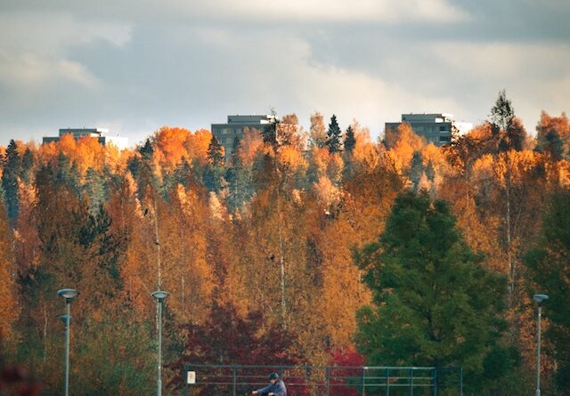 Why Finland is the happiest country in the world – an expert explains