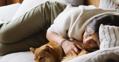 Napping may be beneficial for your brain – here’s how