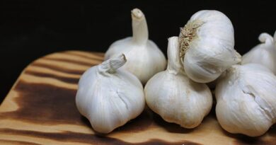 From heart health to drug interactions: garlic’s effect on the body