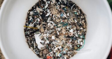 Questions are being raised about microplastics studies – here’s what’s solid science and what isn’t