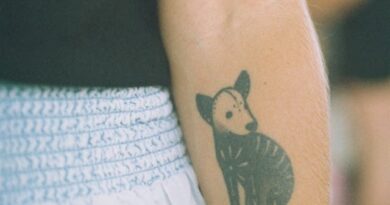 Tattoos, toxins and the immune system – what you need to know before you get inked