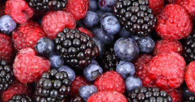 Compound found in berries and red wine can rejuvenate cells, suggests new study