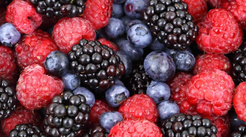 Compound found in berries and red wine can rejuvenate cells, suggests new study