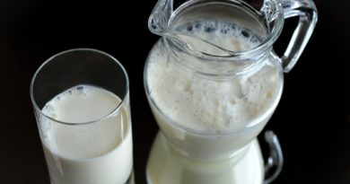 Camel milk reduces cell inflammation associated with type 2 diabetes