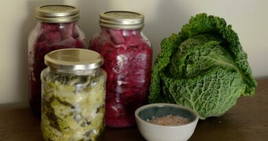 Fermented food: why eating sauerkraut helps your gut stay healthy