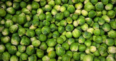 A (scientific) defence of the Brussels sprout