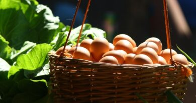 Eight cracking facts about eggs