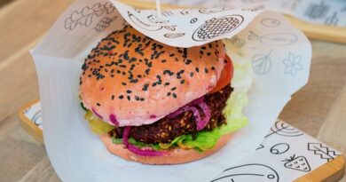 Plant-based burgers: should some be considered ‘junk food’?