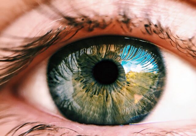 What your eyes reveal about your health